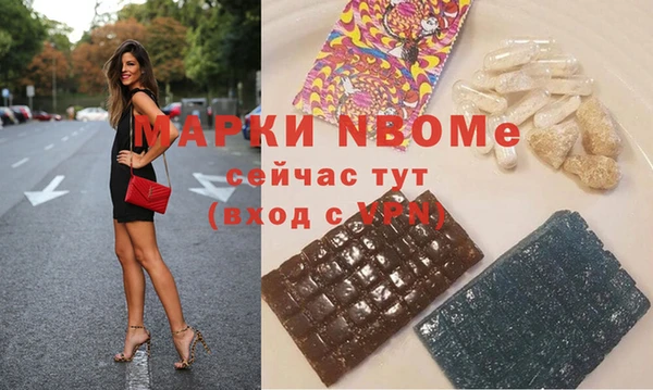дживик Верхний Тагил