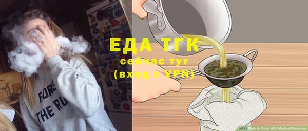 дживик Верхний Тагил