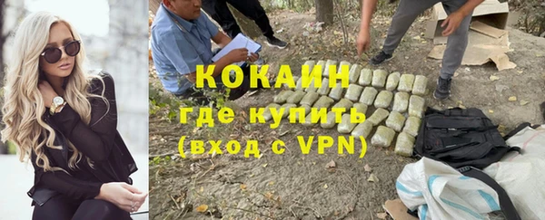 дживик Верхний Тагил