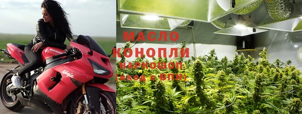 дживик Верхний Тагил