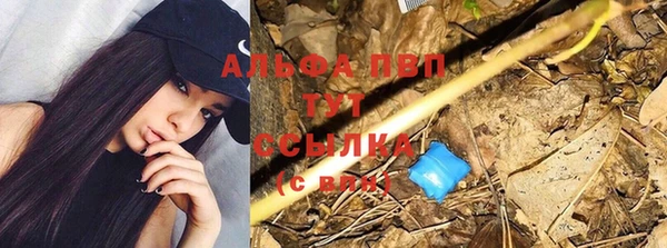 дживик Верхний Тагил