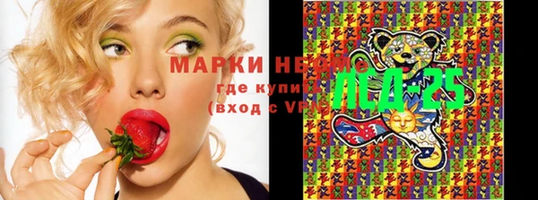 дживик Верхний Тагил