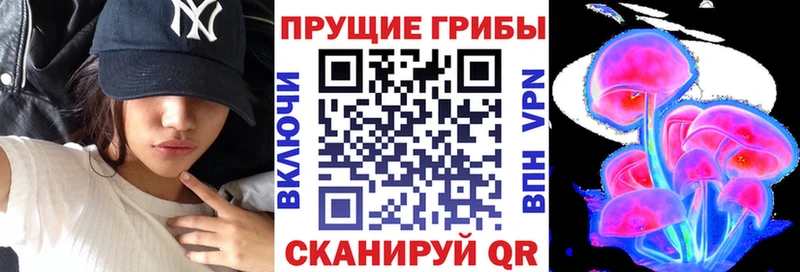 что такое наркотик  Камышин  мега ССЫЛКА  Галлюциногенные грибы Psilocybine cubensis 